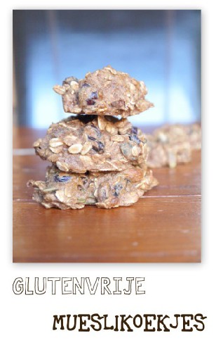 Glutenvrije mueslikoekjes