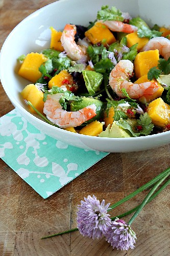 Exotische Mango Avocado Salade
